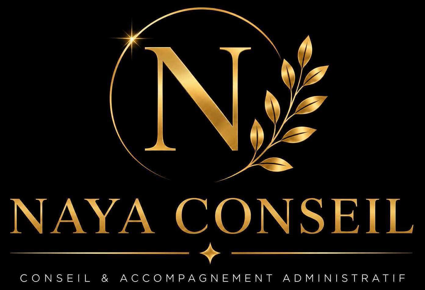 logo naya conseil recadre